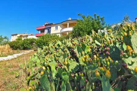 Villa Lucija Pula Buitenkant foto